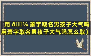 用 🐼 萧字取名男孩子大气吗（用萧字取名男孩子大气吗怎么取）